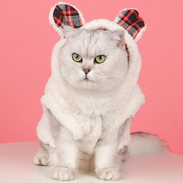 Cat in Cute Fleece Hoodie with Bear Ears | MissyMoMo