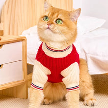 Load image into Gallery viewer, Cat in Red Preppy Sweater | MissyMoMo
