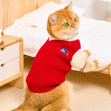 Load image into Gallery viewer, Cat in Red Preppy Sweater | MissyMoMo

