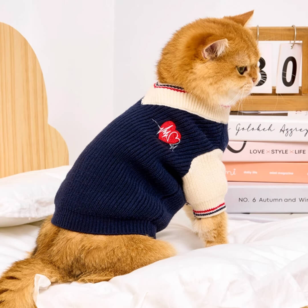 Preppy Clothes for Cats