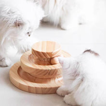 Load image into Gallery viewer, Cats Playing with Ball Track Toy | Interactive Cat Toys | MissyMoMo
