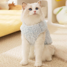 Load image into Gallery viewer, Cat in Blue Fleece Jacket | MissyMoMo
