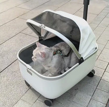 Load and play video in Gallery viewer, Rolling Cats with Cat Carriers with Wheels | Pet Strollers for Cats | MissyMoMo
