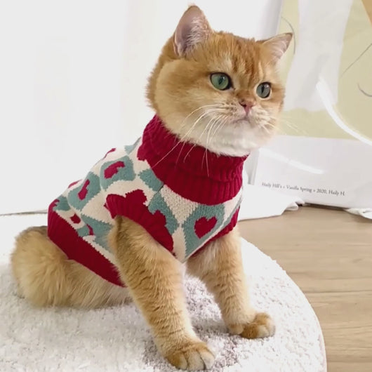 Cat in Red Heart Pattern Sweater | MissyMoMo