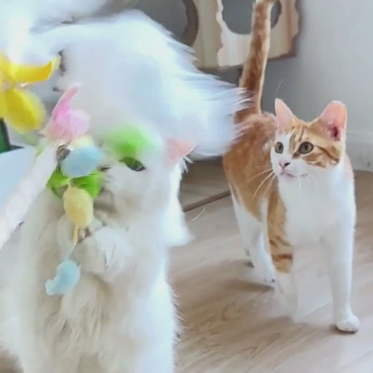 Cats with Angel Wings Cat Wand Toys | MissyMoMo