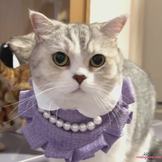 Purple Cat Bib | Elegant Cat Bib | MissyMoMo