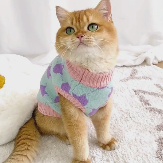 Cat in Cute Sweater | MissyMoMo