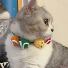 Load and play video in Gallery viewer, Colorful Cute Cat Collar | MissyMoMo
