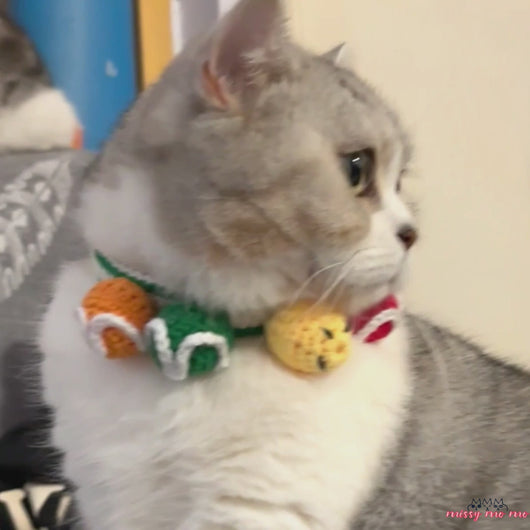 Colorful Cute Cat Collar | MissyMoMo