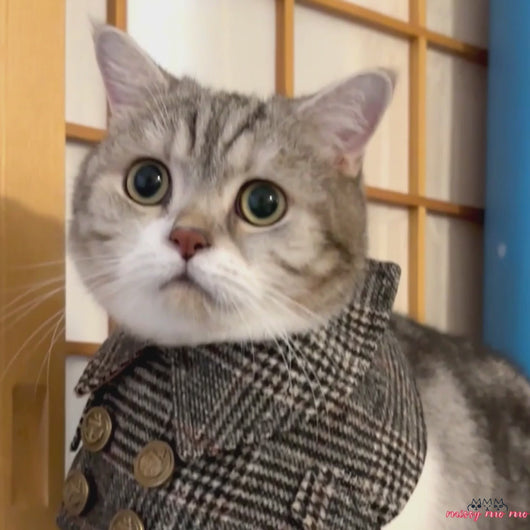 Dapper Tweed Cat Bib | Cat Bib for Boy Cats | MissyMoMo