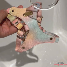 Load and play video in Gallery viewer, Water Repellent Leather Cat Harness | Pink Vegan Leather Cat Harness | MissyMoMo
