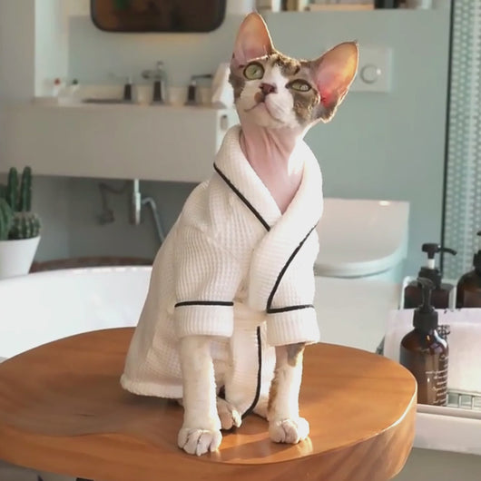 Devon Rex in White Bathrobe | MissyMoMo