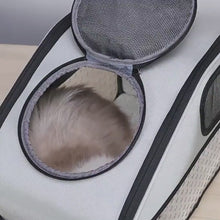 Load and play video in Gallery viewer, Cat in Sturdy Convertible Clear Cat Backpack | MissyMoMo 
