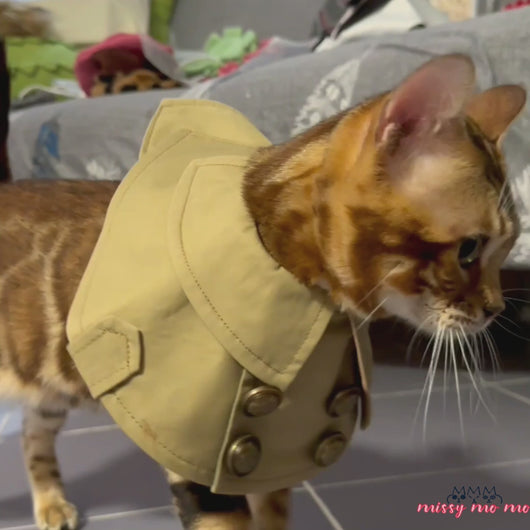 Bengal Cat in Trench Coat Cat Bib | MissyMoMo
