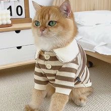 Load and play video in Gallery viewer, Cat in Striped Shirt | Cat Clothes | MissyMoMo

