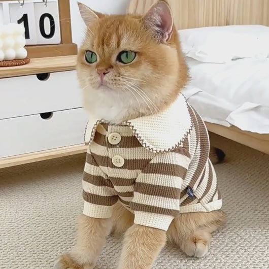 Cat in Striped Shirt | Cat Clothes | MissyMoMo