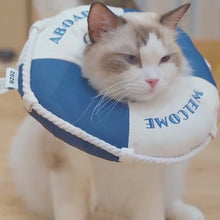 Load and play video in Gallery viewer, Lifebuoy Elizabethan Collar for Cats | Cat with E Collar | MissyMoMo
