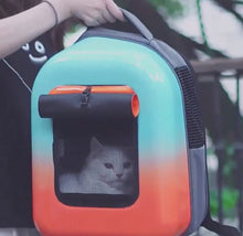 Load and play video in Gallery viewer, Petseek Gradient Cat Backpack | Hard Cat Travel Carrier | MissyMoMo
