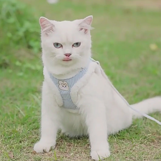 Fuzzball Cat Harness & Leash Set | Blue Fleece Kitty Harness | MissyMoMo