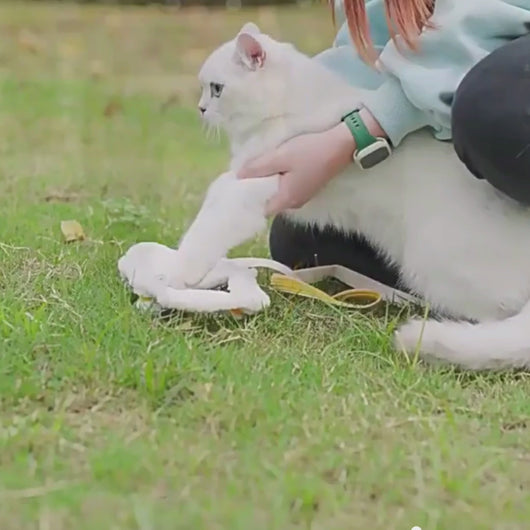 Fuzzball Cat Harness & Leash Set | Yellow Fleece Kitty Harness | MissyMoMo
