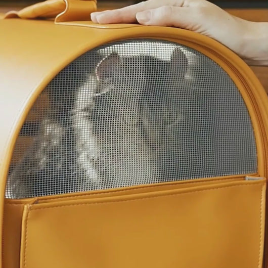 Fancy Poupée Cat Carrier | Luxurious Bubble Leather Pet Carrier | MissyMoMo