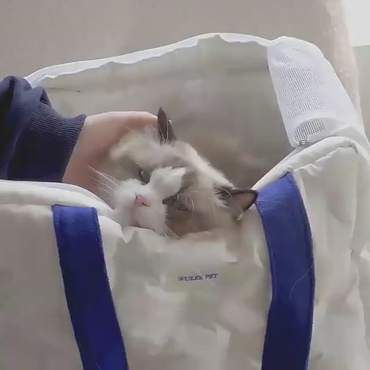 Wulee Cat Shoulder Bag | Cat in White Cat Travel Carrier | MissyMoMo