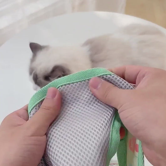 Nova Cat Harness and Leash | Putting a Harness on a Cat | MissyMoMo
