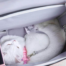 Load image into Gallery viewer, Arkika Whiskers Wonders Pink Cat Backpack | MissyMoMo
