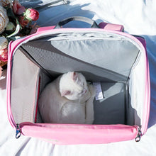 Load image into Gallery viewer, Arkika Cat Backpack | Cat in Pink Cat Backpack | MissyMoMo
