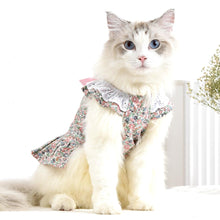 Load image into Gallery viewer, August Cat Dress | Cat Clothes | Pet Clothes | MissyMoMo
