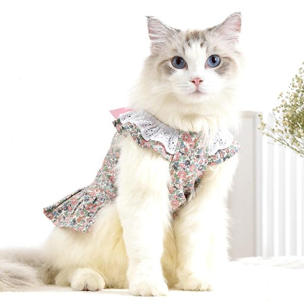 August Cat Dress | Cat Clothes | Pet Clothes | MissyMoMo