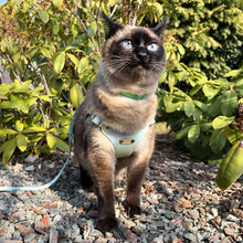 Load image into Gallery viewer, Leather Cat Harness &amp; Leash | Vegan Leather Pet Harness | MissyMoMo
