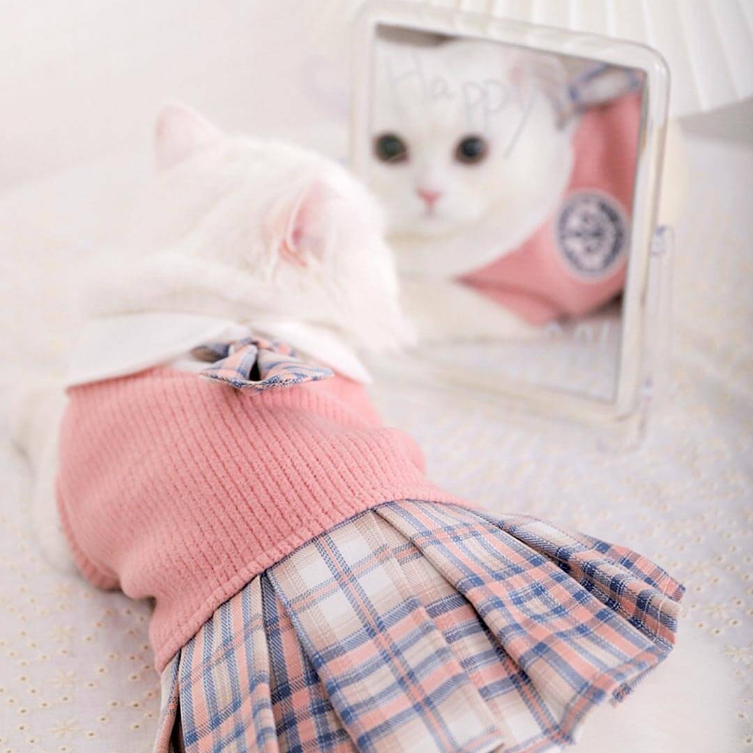 pink chicken cat dress Standard Chicken Tutu Dress- Princess Dress for Your Hen