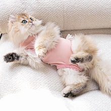 Load image into Gallery viewer, Bella Cat Recovery Suit | Recovery Suit for Cats | MissyMoMo
