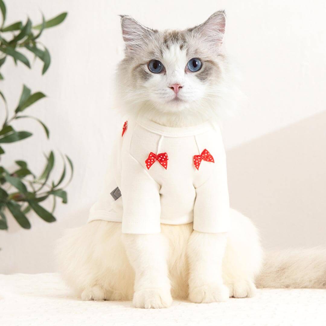 Bella Cat Dress