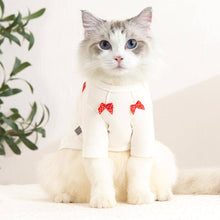 Load image into Gallery viewer, Bella Cat T-Shirt | Cat in T-Shirt | Cat Clothes | MissyMoMo
