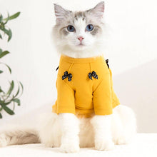 Load image into Gallery viewer, Bella Cat T-Shirt | Cat in T-Shirt | Cat Clothes | MissyMoMo
