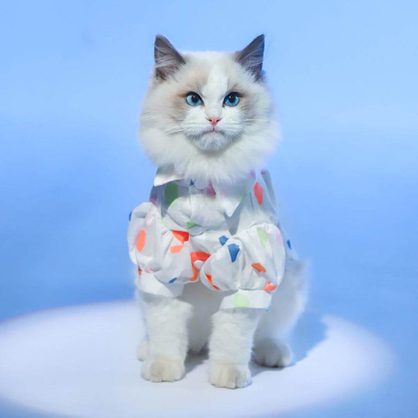 Catsby Cat Shirt | Shirt for Cats | Cat Clothes | MissyMoMo
