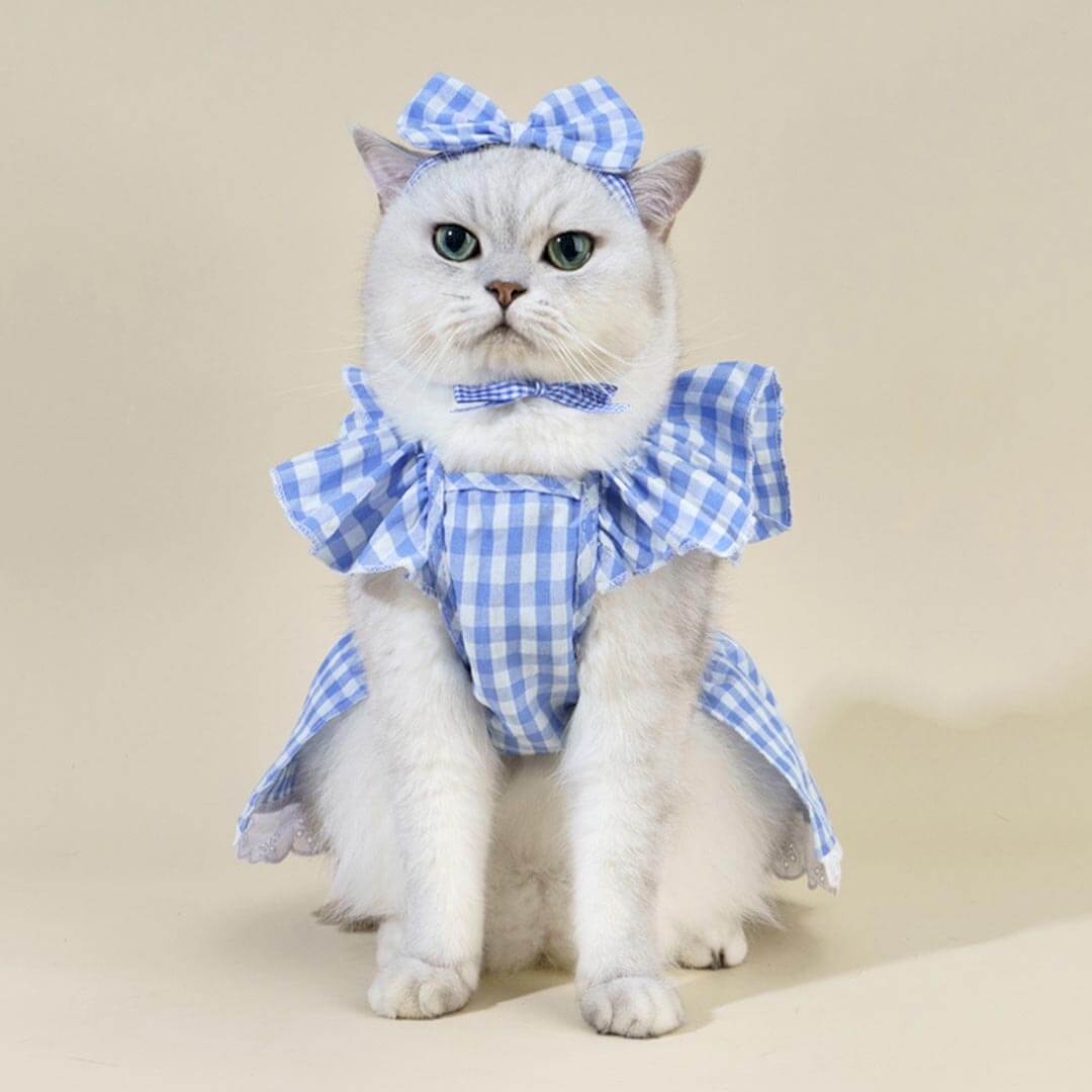 MissyMoMo Gingham Dress & Bow Tie Set, Dress for Cats, XL, Royal Blue MissyMoMo Gingham Dress & Bow Tie Set, Dress for Cats, XL, Royal Blue