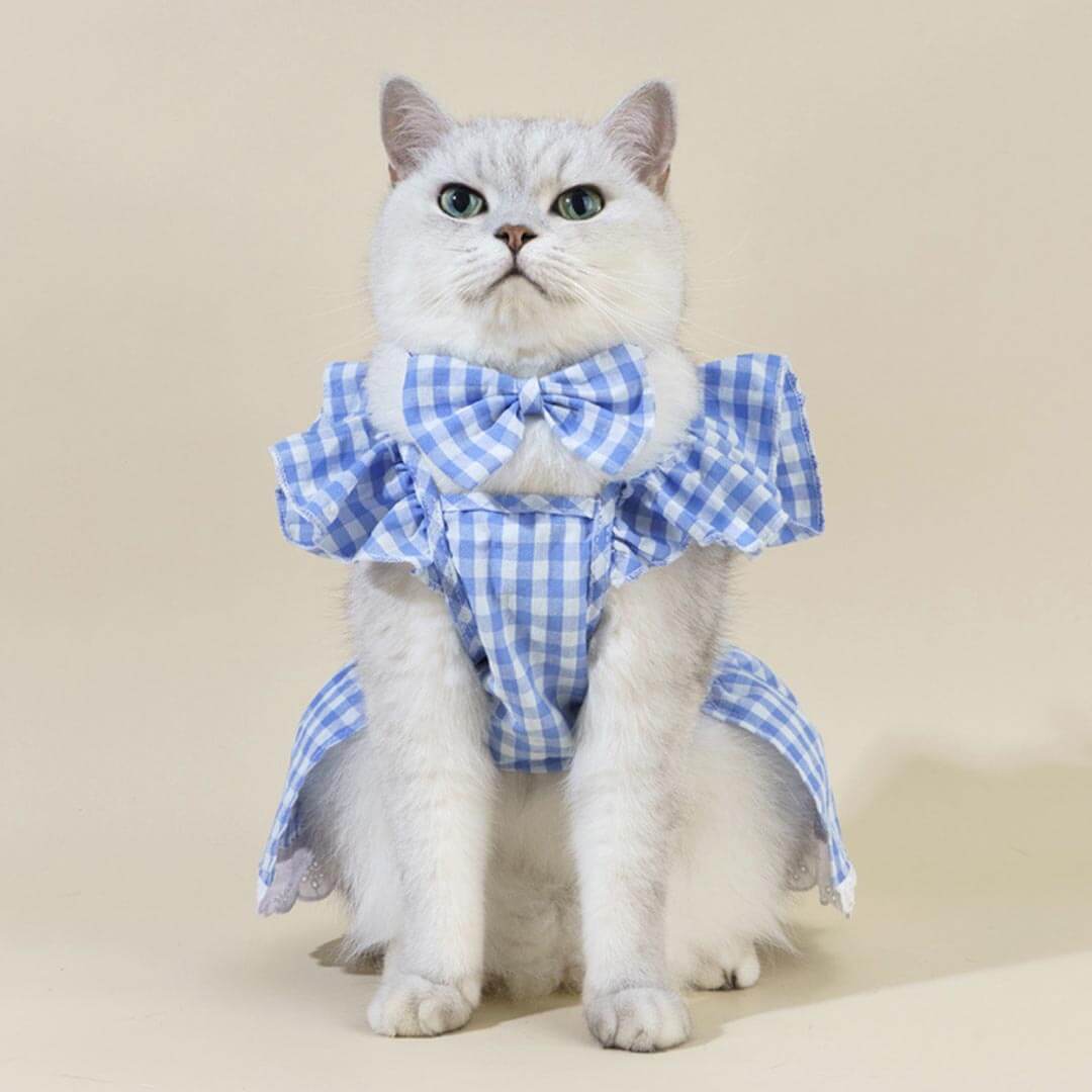 MissyMoMo Gingham Dress & Bow Tie Set, Dress for Cats, XL, Royal Blue MissyMoMo Gingham Dress & Bow Tie Set, Dress for Cats, XL, Royal Blue