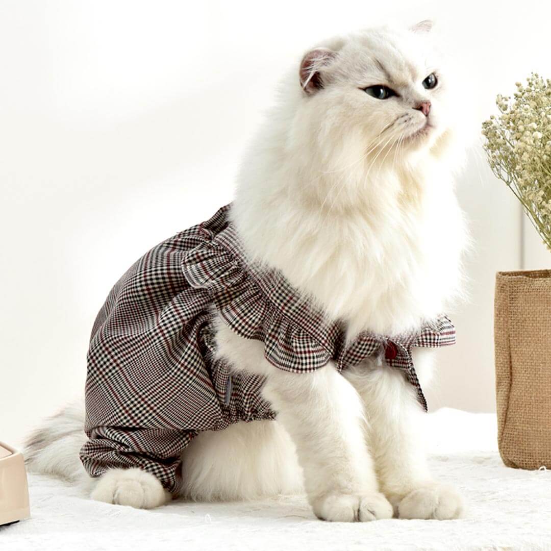 Checker Patterned Cat Checkers Cat Dungarees | Pet Clothes | MissyMoMo
