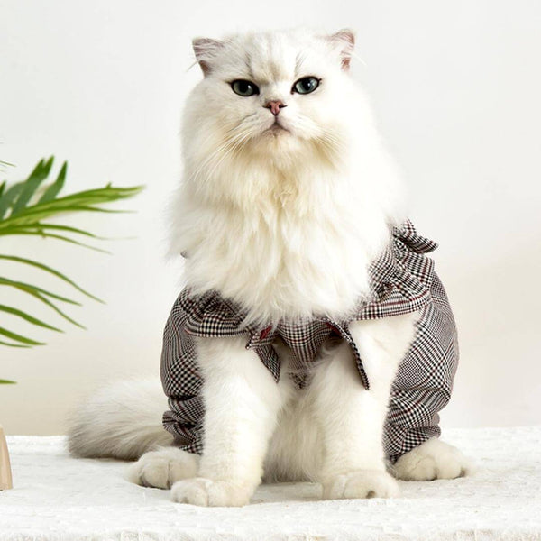 Checkers Cat Dungarees | Cat Clothes | Pet Clothes | MissyMoMo