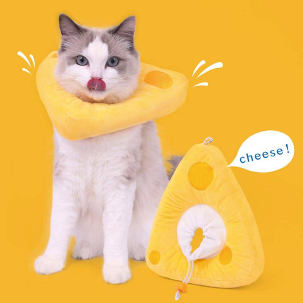 Cheese Elizabethan Collar for Cats | Cat with E Collar | MissyMoMo