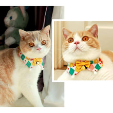 Load image into Gallery viewer, Circus Cat Bib | Cute Accessories for Cats | MissyMoMo
