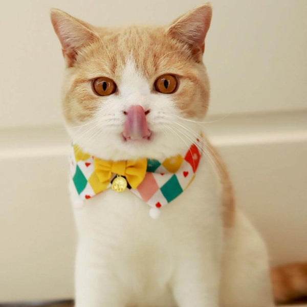 Circus Cat Bib | Cute Accessories for Cats | MissyMoMo