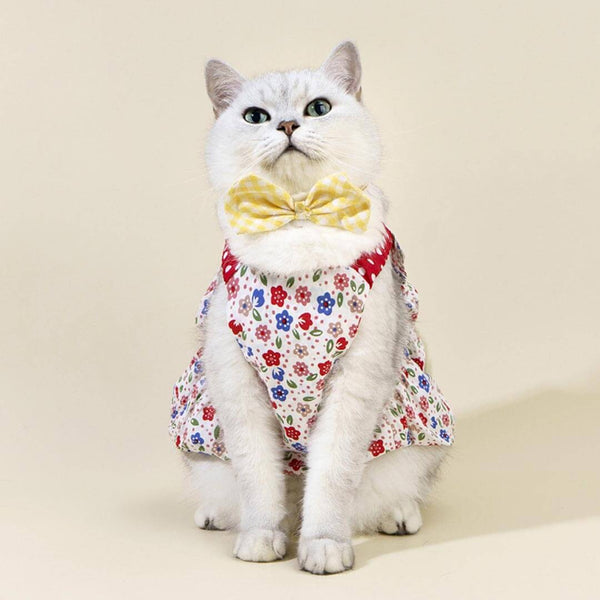 Daisy Cat Dress & Bow Set | Cat in Dress | Cat Clothes | MissyMoMo