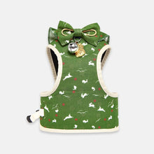 Load image into Gallery viewer, Fairy Cat Walking Harness and Leash | Green Cat Harness Vest | MissyMoMo
