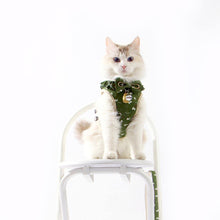 Load image into Gallery viewer, Fairy Cat Walking Harness and Leash | Cat in Vest Harness | MissyMoMo
