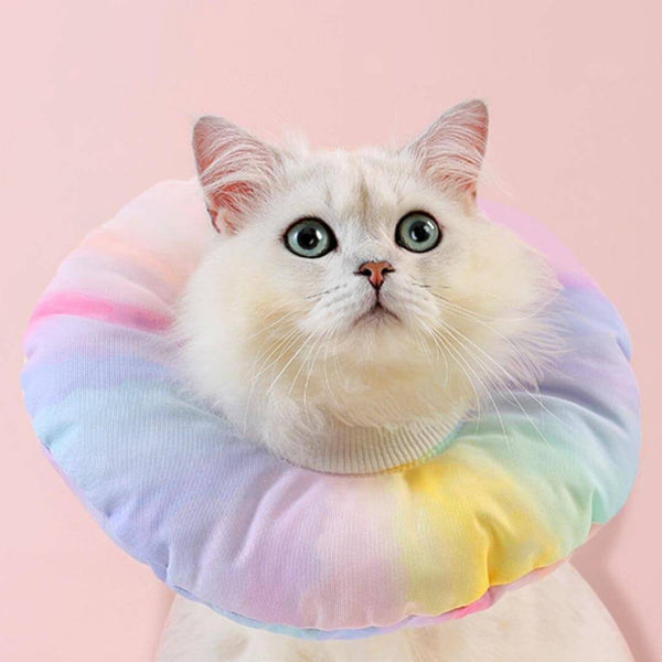 Fairy Elizabethan Collar | Cute E Collar for Pets | MissyMoMo