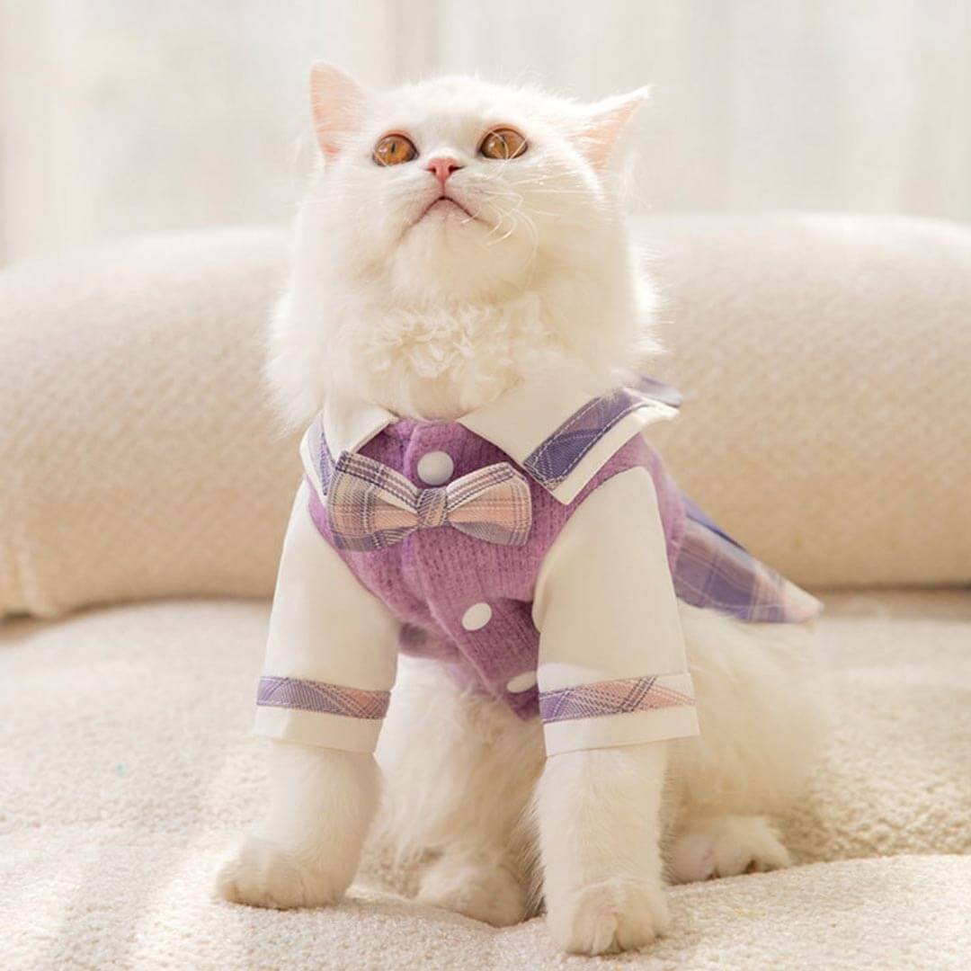 Hana Cat Dress Dresses for Cats Kittens MissyMoMo